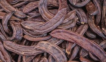 Natural Carob Pods – Les Caroubes Features Organic Flavor Naturally Sweet Product Type Carob Pods Place of Origin Morocco - ExpoMorocco - Morocco