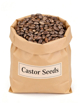 Castor Seed for sale Plant Rapeseed - Njang Investments Limited - Kenya