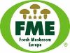 Product - FRESH MUSHROOM EUROPE - Belgium