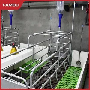 New Design Good Quality Livestock Husbandry Equipment Farrowing Crate for Pig Farming - Qingdao Famou Machinery Co., Ltd. - China