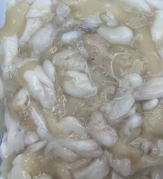 Calamari Egg – product photo, Egg products found from trusted suppliers, wholesalers, manufacturers & exporters Listing
