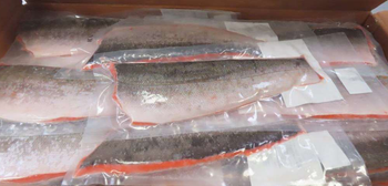 Salmon - MTF Trading FZCO - Russian Federation