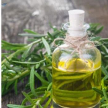 Tarragon Oil -  K2N Exports  - India