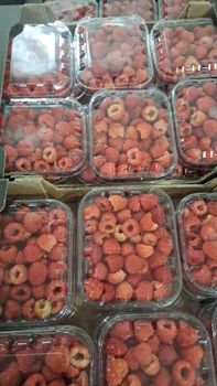 Raspberry – product photo, Raspberries products found from trusted suppliers, wholesalers, manufacturers & exporters Listing