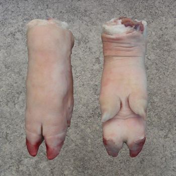 Wholesale Frozen Pig Front Feet | Spain Origin