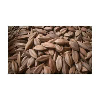 Bulk supply pili nuts wholesale top grade fast delivery exporter - AMAC GOLD AND DIAMOND METALS SUPPLIER - Germany