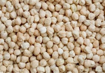 Premium Photo | Chickpeas - Fried Split Gram | Fried Chickpeas | Fried Gram FlourFresh raw whole chickpeas Chickpeas for sale - Buy Organic Chickpeas in Bulk wholesale supplier from Balingi Trading Company (PTY) Ltd Premium Photo | Chickpeas - Fried Split Gram | Fried Chickpeas | Fried Gram FlourFresh raw whole chickpeas Chickpeas for sale - Buy Organic Chickpeas in Bulk wholesale supplier - Balingi Trading Company (PTY) Ltd - South Africa