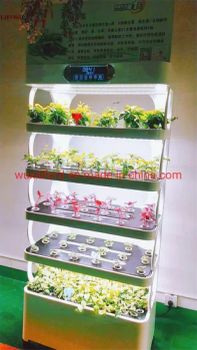 Smart Home Indoor Vegetable Planting Machine Hydroponics Growing Systems - Wuxi Liford Import and Export Co., Ltd. - China