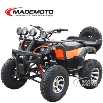 Promote Best Price 125cc 200cc 250cc Gas ATV Quad Bike China ATV Adult - Wiztem Industry Company Limited - China
