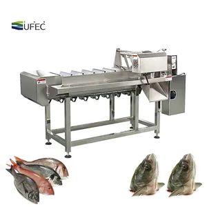 China Factory Salmon Sardines Tilapia Cod Saury Fish Head Cutting Machine Adjustable Speed Cutting Length Automatic Fish Head Cutt - Yantai Guangwei Food Cold-Chain Technology Co., Ltd. - China