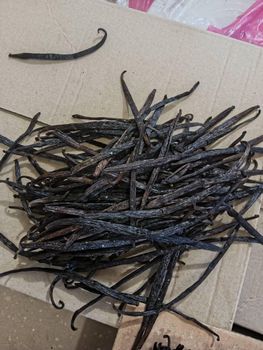 Vanilla Beans Features Organic Product Type Spices Seed Type Caviar Seeds Pod Form Dried Seed Pods Flavor Intense, Natural Vanilla Flavor - ANISIA GROUP COMPANY LIMITED - Tanzania