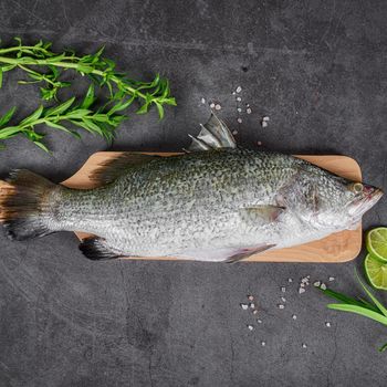 Frozen Sea Bass Fish Skin On Fillet High Yield Cut Naturally Tender White Flesh With 98% Quality Preservation - TOSOH INTERNATIONAL - South Africa