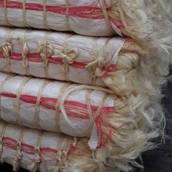 Premium Quality Sisal Fiber for Crafts and Ropes with Fast Delivery Guaranteed - AK.BOLO MEDIK LTD - Thailand