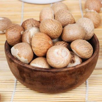 High Quality Whole Sun Dried Natural Brown Betel Nuts 1st Grade High Purity Semi-round Shape from TRADECENTRIC LLC High Quality Whole Sun Dried Natural Brown Betel Nuts 1st Grade High Purity Semi-round Shape - TRADECENTRIC LLC - United States