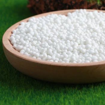 Compound NPK Fertilizer Agriculture Plant Fertilizer for Any Crops - HUBEI KAILONG CHUXING CHEMICAL INDUSTRY GROUP CO., LTD. - China