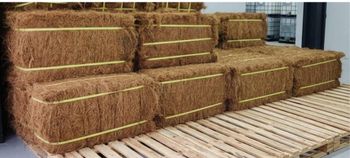 Coco Fiber - PT. Kalisabuk Lintas Samudera - Indonesia