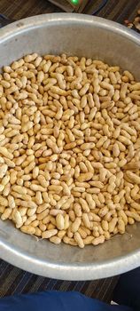 GROUNDNUT IN SHELL from A2Z AGRO FOOD GROUNDNUT IN SHELL - A2Z AGRO FOOD - India