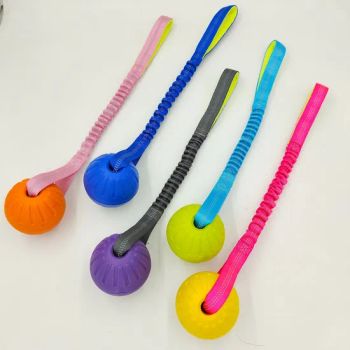 Adorable Educational Bite Proof Pet Toys for Small Dogs - Ruian Jiawang Pet Products Co., Ltd. - China