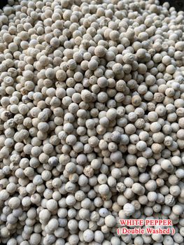 White Pepper (Double Washed) Origin Vietnam Form Ground, Whole Quality 620g/l, 630g/l Max. Moisture (%) 12,5% - 13,5% Delivery Form 25kg bag, 50kg bag - MINH ANH EXPORT CO., LTD - Vietnam