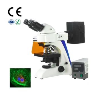 Omt Discovery Microscope Set Binocular Fluorescence Microscope Uses for Medical Microscopes Prices - Chongqing Optec Instrument Co., Ltd. - China