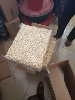 Processed Cashew Kernel For Sale Organic Yes Form Peeled Degree of Processing Natural, Roasted, Seasoned - JTENK GROUP COMPANY LIMITED - Tanzania