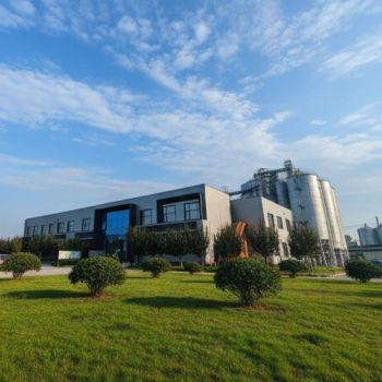 High Quality Soy Protein Concentrate for Meat Substitute - Shandong Wonderful Biotech Co., Ltd. - China