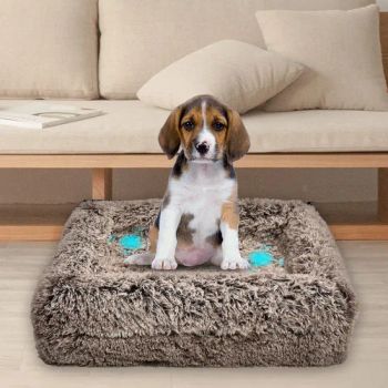 Wholesale High Quality Different Size Massage Memory Foam Dog Mat Beds - Ningbo Comfort Industry Co., Ltd. - China