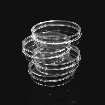 Science Lab Consumables 100mm Petri Dishes Cell Culture Container - FUZHOU BORNI PHARMACEUTICAL SCI.& TECH.CO., LTD. - China