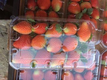 FRESH STRAWBERRIES - Mete Guneyhan - Turkey