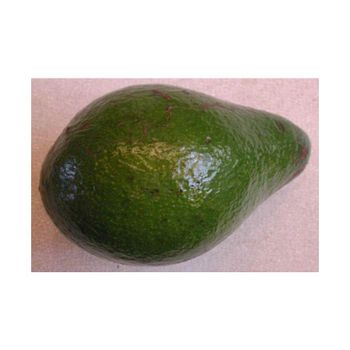 Fresh avocado bulk supply available for wholesale buyers and distributors - BMU TRADING GMBH - Germany
