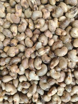 Cashew Nuts - Tanzania Agroflux and Rocks Ltd - Tanzania