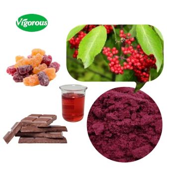 Elderberry Extract Sambucus Nigra Powder 5-25% Anthocyanidin Food Grade ISO 1kg MOQ - Changsha Vigorous-Tech Co., Ltd. - China