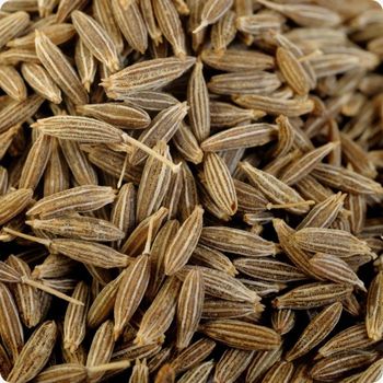 Cumin Seeds Sourced For Fresh Harvest Integrity Strong Essential Oil Content And Professional Bulk Distribution - TOSOH INTERNATIONAL - South Africa