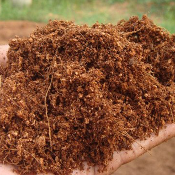 Coco peat slab - Karthik - India