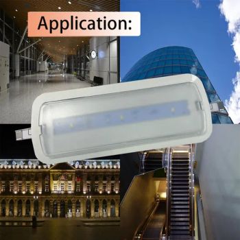Most Famous Customize 1.5W LED Luz De Emergencia Emergency Lights LED Rechargeable for Market - Hangzhou Dreamy Lighting Co., Ltd. - China
