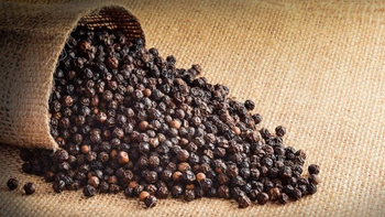 Black Pepper  – Premium Whole Peppercorns - Buddha Overseas - India