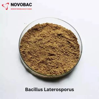 Plant Growth Regulators Biological Fertilizer Enhanced Crop Growth and Yield -Brevibacillus Laterosporus - Hunan Tangsons Biotech Co., Ltd - China