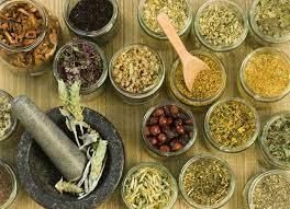 Ayurvedic  Immunity Booster Shape POWDERED FORM Ingredients NON GMO Place of Origin INDIA Drying Process NATURAL Cultivation Type - GURU HERBS AND AYURVEDA - India