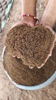 Cow dung manure - BioFertz Global  - India