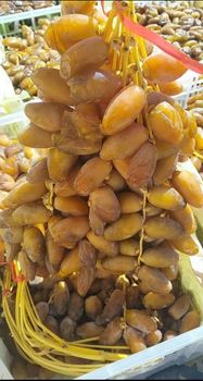 AGROBDT Premium Algerian Deglet Nour Dates 2kg-3kg - EURL AGROBDT - Algeria