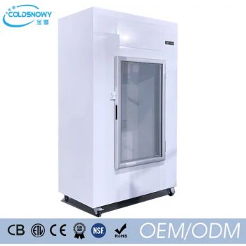Ice Storage Bin Commercial Ice Merchandiser Freezers Painted Galvanized Steel Ice Freezers - Foshan Baoxue Electrical Appliance Technology Co., Ltd - China