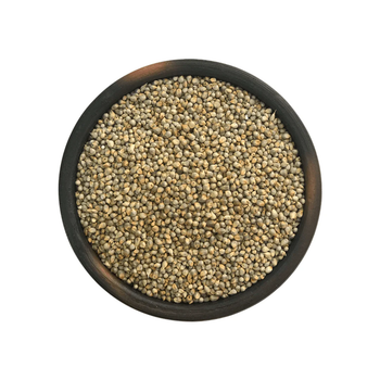 Fine quality pearl millet bulk supply natural bajra wholesale trade - HIGHPROFILE AGRICULTURE SERVICES LIMITED - Tanzania