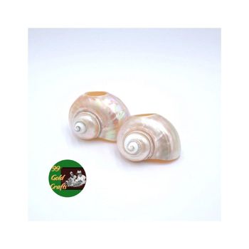 Elegant Seashell Napkin Rings Wholesale Handcrafted From Natural Shells For Coastal Home Dining Table TOP SELLER - 99 Gold Data Processing Trading Company Limited - Vietnam