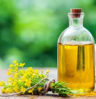 Canola OIl, refined and Crude - TYCHE TRADES AND INVEST  - Canada