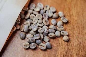 ARABICA COFFEE BEANS Grade AA, AA+ from Thai Agri Company ARABICA COFFEE BEANS Grade AA, AA+ - Thai Agri Company - Thailand