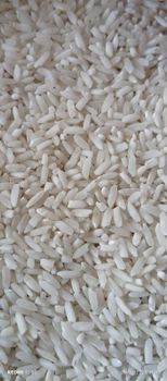 LONG GRAIN IR64 5% BROKEN RICE INDIAN ORIGIN - TATHAGAT AGRO EXPORTS - India