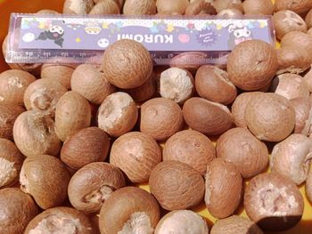 Whole Betel Nut – product photo, Frozen Betel Nut products found from trusted suppliers, wholesalers, manufacturers & exporters Listing
