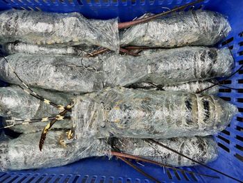 High-quality Frozen Lobsters Grade Aa Size 41/50 Certification Haccp Certified Storage Temperature –14°c Or Below Custom Packaging Available - Smart Agri GmbH - Germany