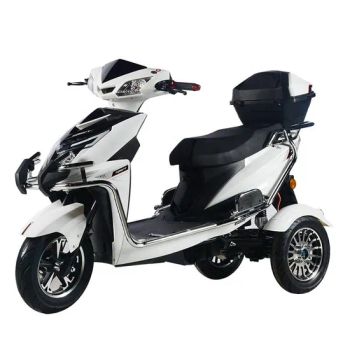 1000W 1500W Motor 3 Wheel Electric Motorcycle off-Road Motorcycles Scooter - Xingtai Songman Technology Co., Ltd - China