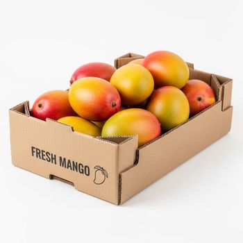 Fresh Mango Premium Orchard Collection Delivering Fresh Taste High Edible Portion And Dependable Supply - TOSOH INTERNATIONAL - South Africa